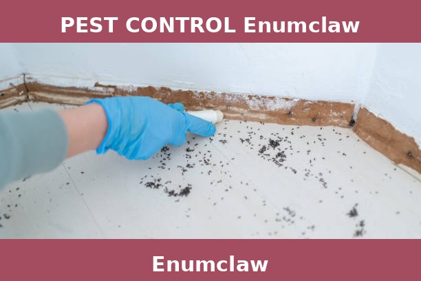 PEST CONTROL Enumclaw